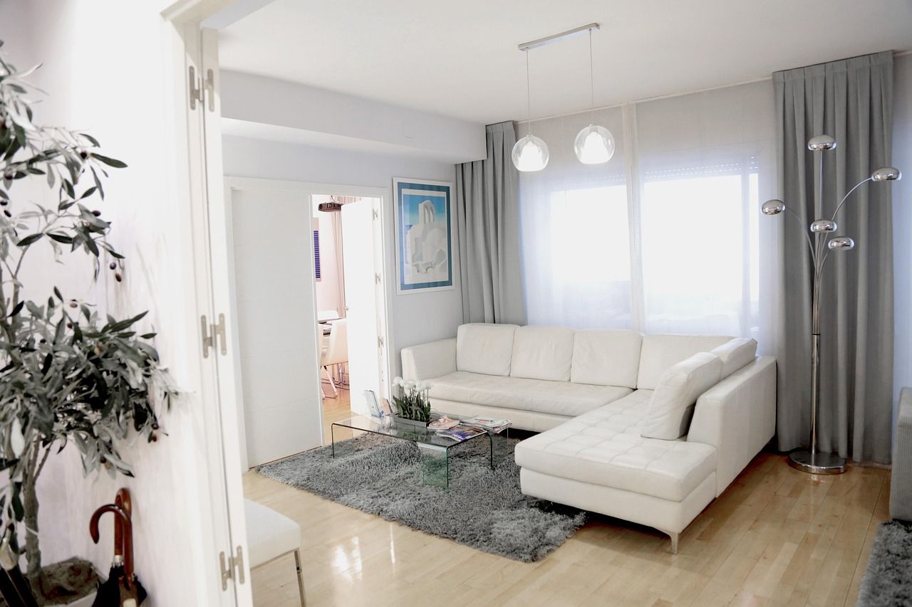 Sala de espera da Clínica Ipê, com sofá branco, plantas e luz natural